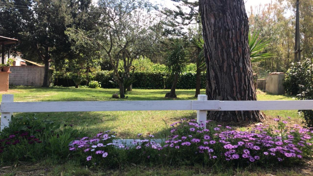 Apartament Casal Baratz Santa Maria la Palma Zewnętrze zdjęcie