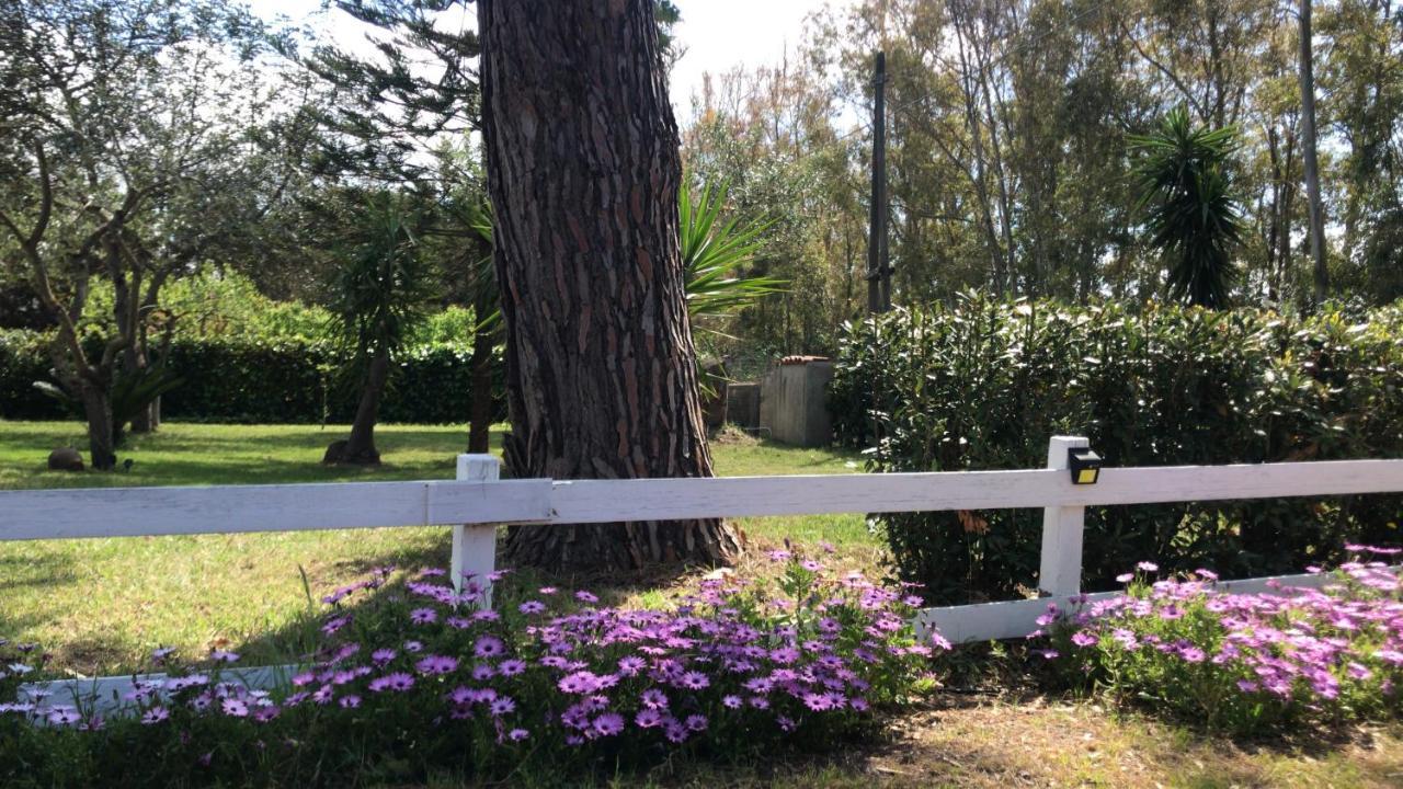 Apartament Casal Baratz Santa Maria la Palma Zewnętrze zdjęcie