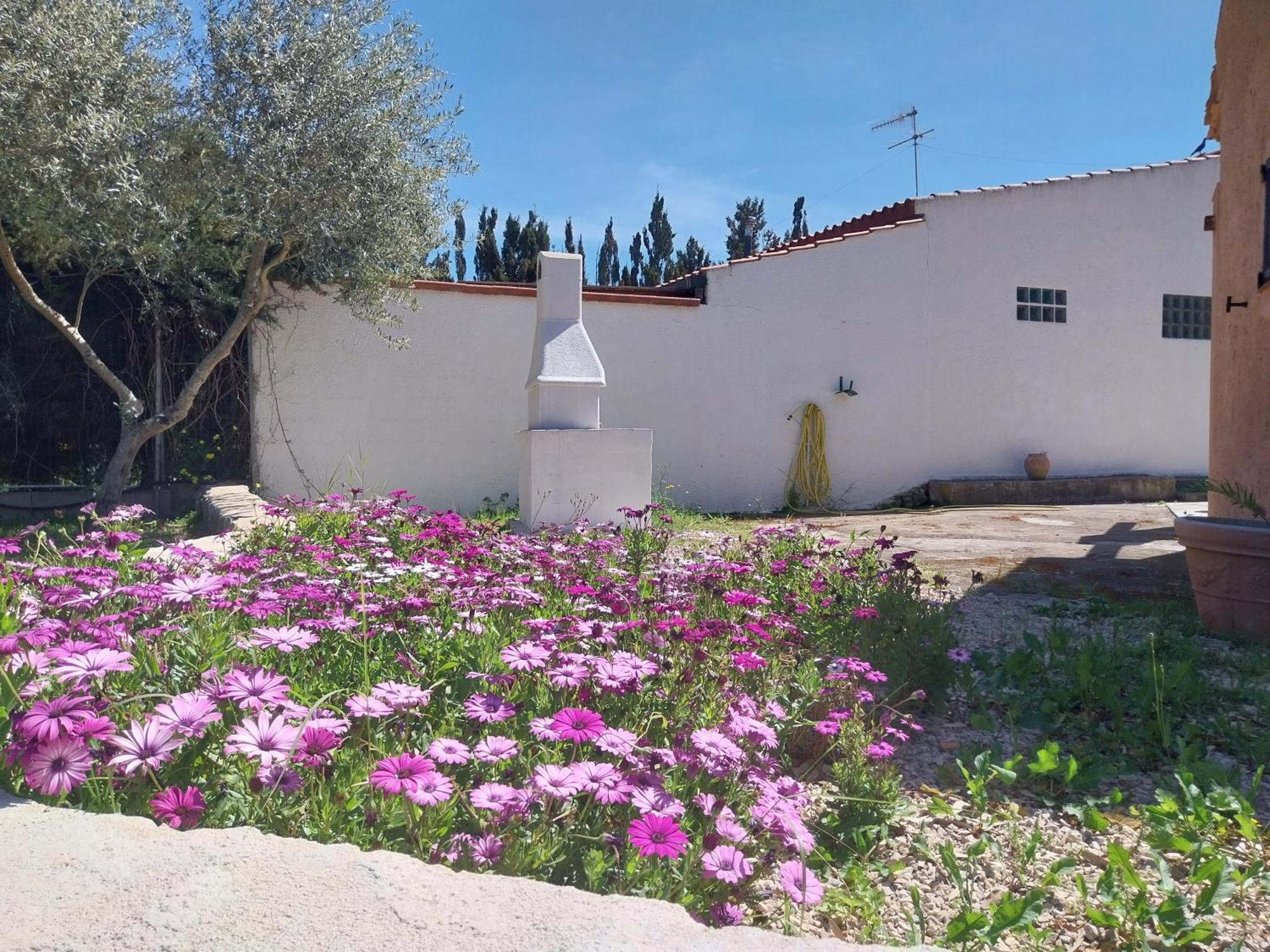 Apartament Casal Baratz Santa Maria la Palma Zewnętrze zdjęcie